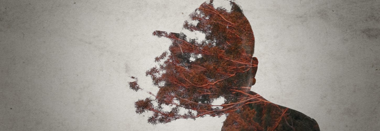 Inverted color image of a scientific illustration of plant parts.